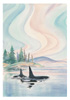 Whale Song